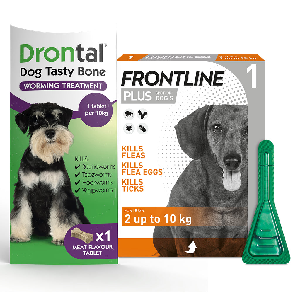 Drontal Worming Tablet & Frontline Plus Flea & Tick Treatment for Small ...