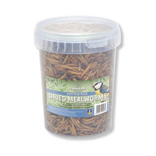 Load image into Gallery viewer, Copdock Mill Dried Mealworms Tubs 1kg
