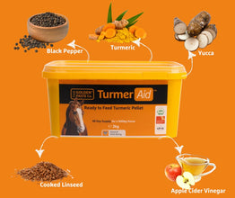 Load image into Gallery viewer, Golden Paste Company Turmeraid Pellets 2kg
