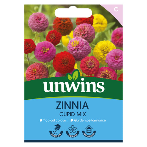 Zinnia Cupid Mix