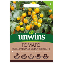 Load image into Gallery viewer, Tomato (Cherry) Sweet Sturdy Grace F1
