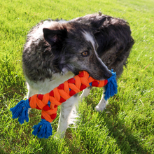 Load image into Gallery viewer, KONG Rope Rally Bone Medium Dog Toy
