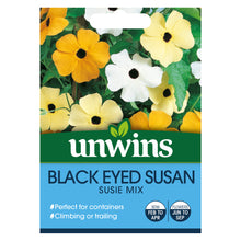 Load image into Gallery viewer, Black Eyed Susan Susie Mix
