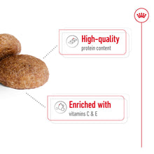 Load image into Gallery viewer, Royal Canin Medium Adult 7+ Dry Dog Food 1 x 15Kg
