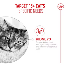 Load image into Gallery viewer, Royal Canin FHN Ageing 15+ Gravy Cat Food 12x85g
