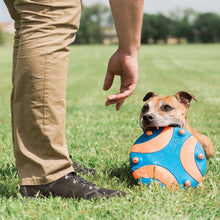 Load image into Gallery viewer, Chuckit! Whistle Flight Flyer Dog Toy Rubber Frisbee 
