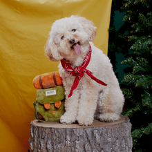 Load image into Gallery viewer, Bark Rowdy Ruckus Rucksack Dog Toy
