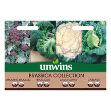Load image into Gallery viewer, Brassica Collection Pack
