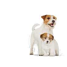 Load image into Gallery viewer, Royal Canin Mini Starter Mother &amp; Babydog Food 4kg
