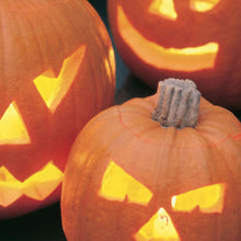 Load image into Gallery viewer, Pumpkin Halloween F1
