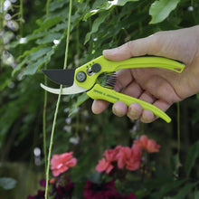 Load image into Gallery viewer, Spear &amp; Jackson Bypass Secateurs + Hand Shears Set in Green
