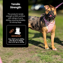 Load image into Gallery viewer, Our Dogs Life Magnetic Lock Lead &amp; Harness Set: Pink
