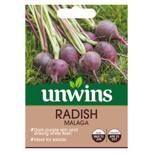 Load image into Gallery viewer, Radish Malaga
