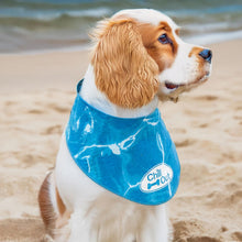 Load image into Gallery viewer, All For Paws Chill Out Ice Bandana Small
