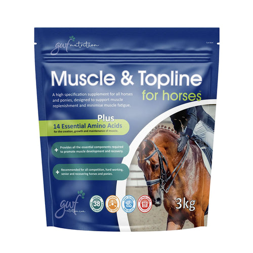 GWF Nutrition Muscle Maintenance Supplement Support For Horses 3kg