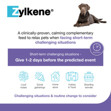 Load image into Gallery viewer, Zylkene Calming Supplement for Dogs 30-60kg
