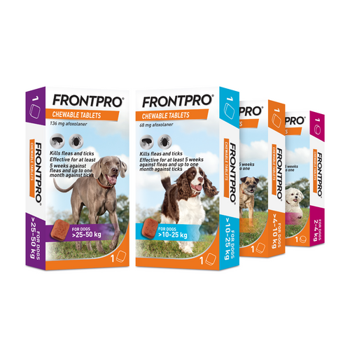 FRONTPRO® Chewable Tablets Flea & Tick Treatment for Dogs 1 Tablet