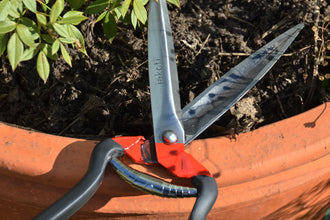 Load image into Gallery viewer, JAKOTI Hand Shears (L30cm) with Handmade Leather Holster. Sheep Shears for Dagging, Shearing &amp; Trimming. 15cm Steel Blades. 
