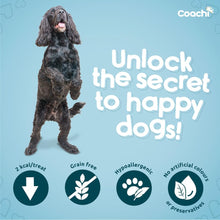 Load image into Gallery viewer, Coachi Natural Training Dog Treats Ocean Fish &amp; Sweet Potato Joint Care 100g
