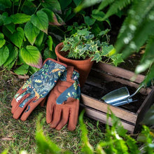 Load image into Gallery viewer, Burgon &amp; Ball RHS Woodland Wonders Gloves​
