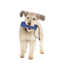 Load image into Gallery viewer, Company of Animals Dog Retriever Aid in Blue
