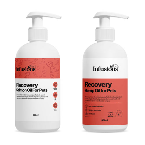 Infusions Recovery Salmon/Hemp Oil For Cats & Dogs 300ml