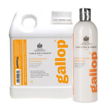 Load image into Gallery viewer, Carr &amp; Day &amp; Martin Gallop Conditioning Shampoo
