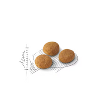 Load image into Gallery viewer, Royal Canin Cat Food Aroma Exigent
