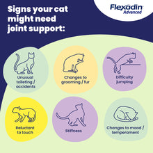 Load image into Gallery viewer, Flexadin Advanced Joint Care Supplement for Cats
