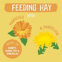 Load image into Gallery viewer, Burgess Excel Feeding Hay With Dandelion &amp; Marigold 1kg
