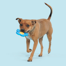Load image into Gallery viewer, Bark Blue Power Flower Dog Toy
