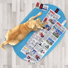 Load image into Gallery viewer, KONG Daily Newspaper X Large
