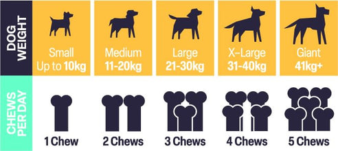 Load image into Gallery viewer, Natural VetCare Health &amp; Wellbeing Chews for Dogs – Age Well, Calm &amp; Settle, Daily Multivitamin, Gut Balance &amp; Mobility – Vet-Formulated Chews
