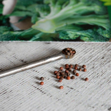 Load image into Gallery viewer, Brassica Collection Pack
