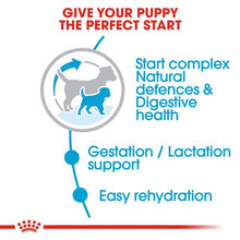 Load image into Gallery viewer, Royal Canin Dry Dog Food For Mini Starter Mother &amp; Babydog - All Sizes
