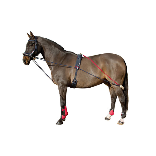 Whitaker Adjustable Horse Training System Equipment