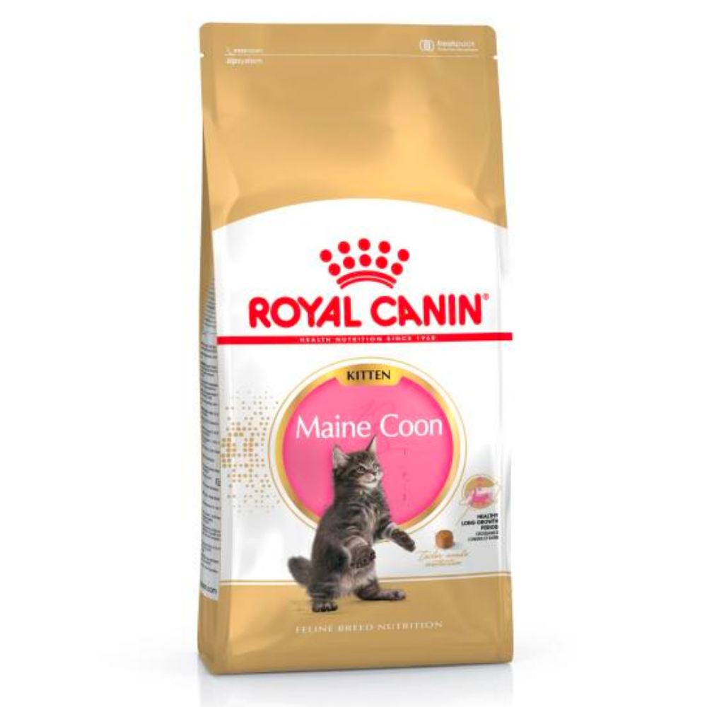 Royal Canin Maine Coon Kitten Dry Food For Cats