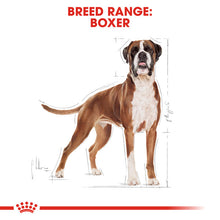 Load image into Gallery viewer, Royal Canin Dry Dog Food Specifically For Adult Boxer - All Sizes
