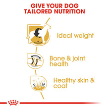 Load image into Gallery viewer, Royal Canin Dry Dog Food Specifically For Adult Labrador Retriever - All Sizes

