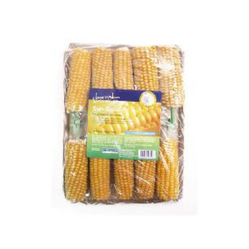 Corn On Cob 10 Pack