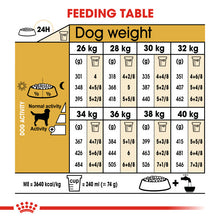 Load image into Gallery viewer, Royal Canin Dry Dog Food Specifically For Adult Labrador Retriever - All Sizes
