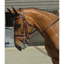 Load image into Gallery viewer, Whitaker Horse Equine Training Rein
