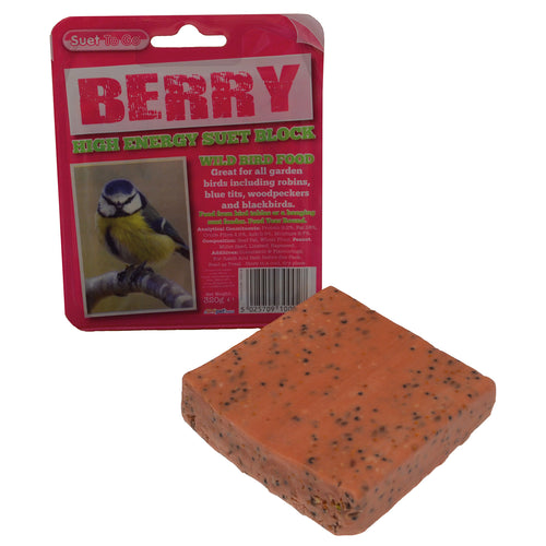 Suet To Go Suet Block In Tray Berry x 320g