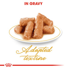 Load image into Gallery viewer, Royal Canin British Shorthair Adult In Gravy Wet Cat Food For Cats 12 x 85g
