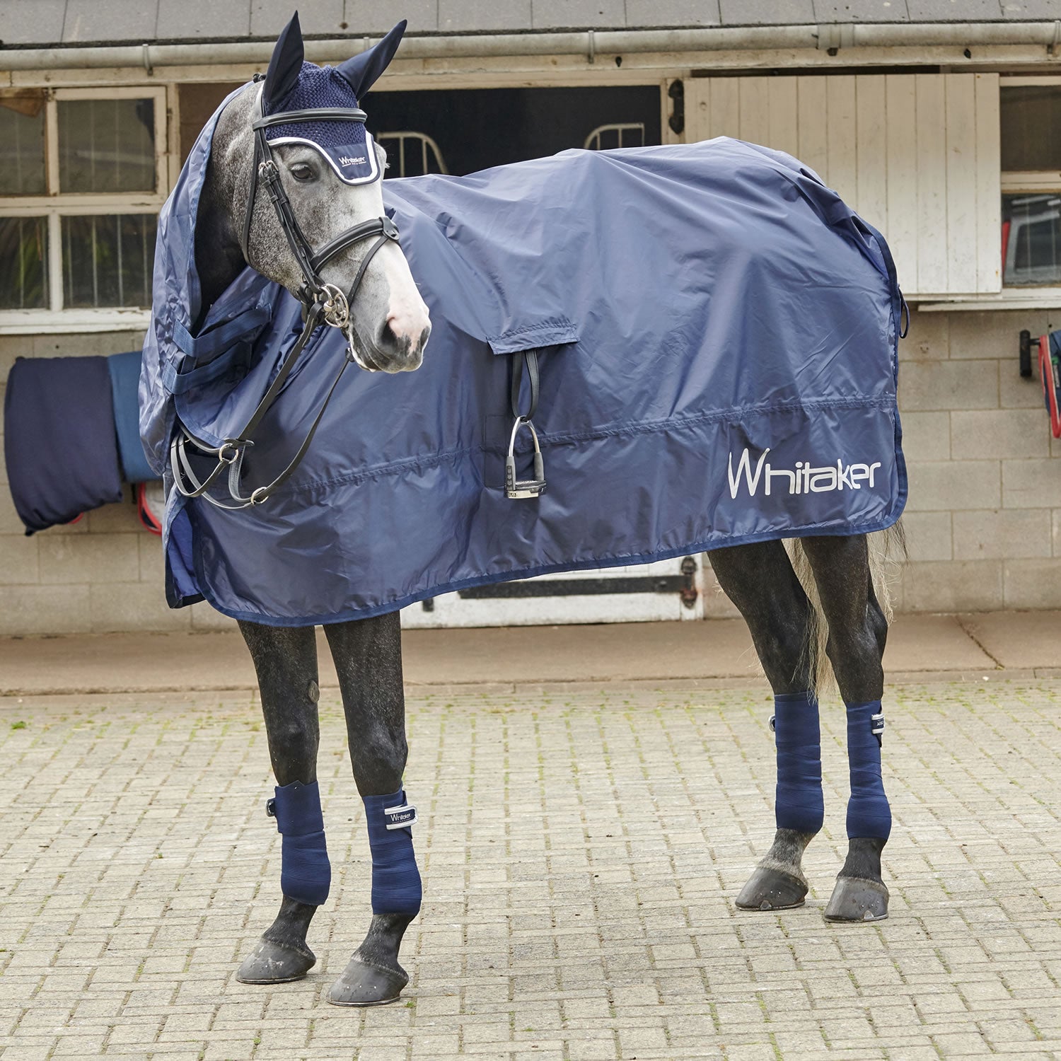 Whitaker Rothwell Roll-Up Rain Sheet For Horses 