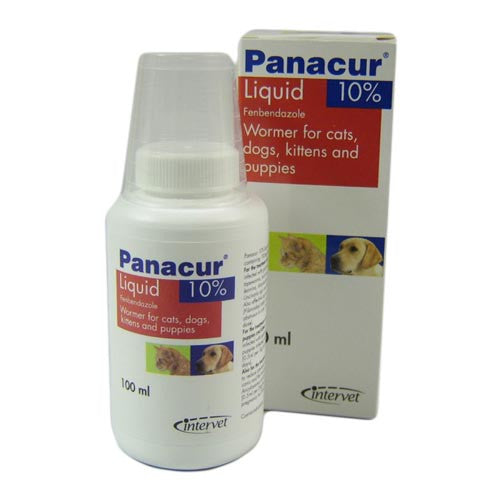 Panacur 10% x 100ml Liquid for Cats & Dogs