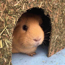 Load image into Gallery viewer, Rosewood Hamster Edible House Small Carrot Cottage Treat Mouse Gerbil 15x9x10cm
