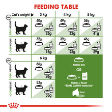 Load image into Gallery viewer, Royal Canin Outdoor Adult Dry Cat Food For Cats 4kg

