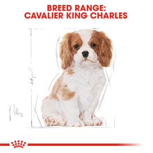 Load image into Gallery viewer, Royal Canin Dry Dog Food Specifically For Puppy Cavalier King Charles 1.5kg
