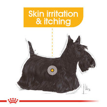 Load image into Gallery viewer, Royal Canin Wet Dog Food For Dermacomfort In Dogs 12x85g
